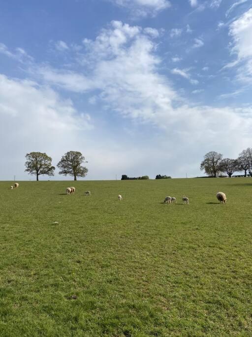 Coach House - Detached Cottage Within 135 Acres 브롬야드 외부 사진